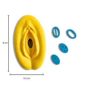 Vulvamodell mit 4 Hymenringen
